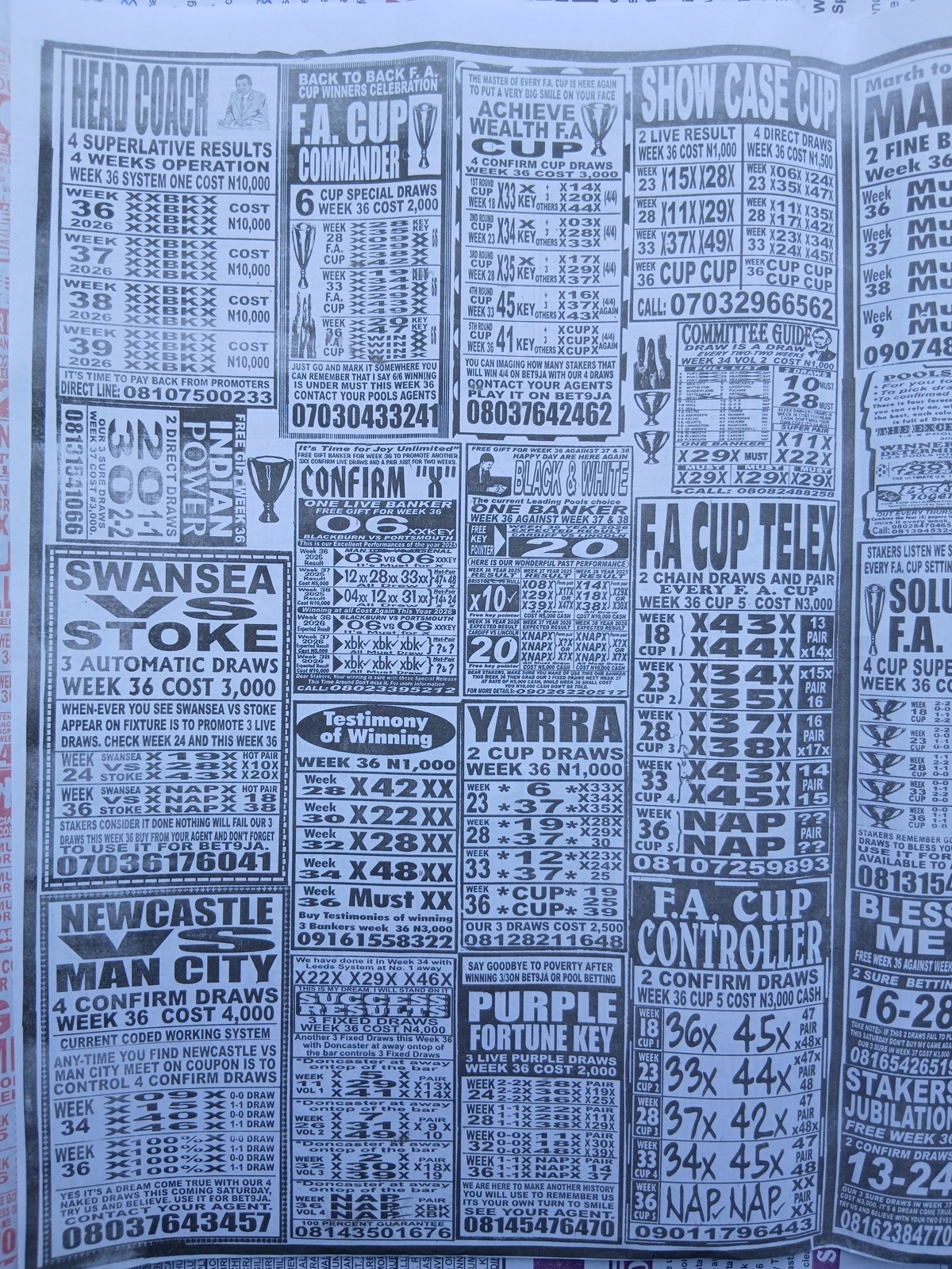 week 36 weekly telegraph 2026 page 4