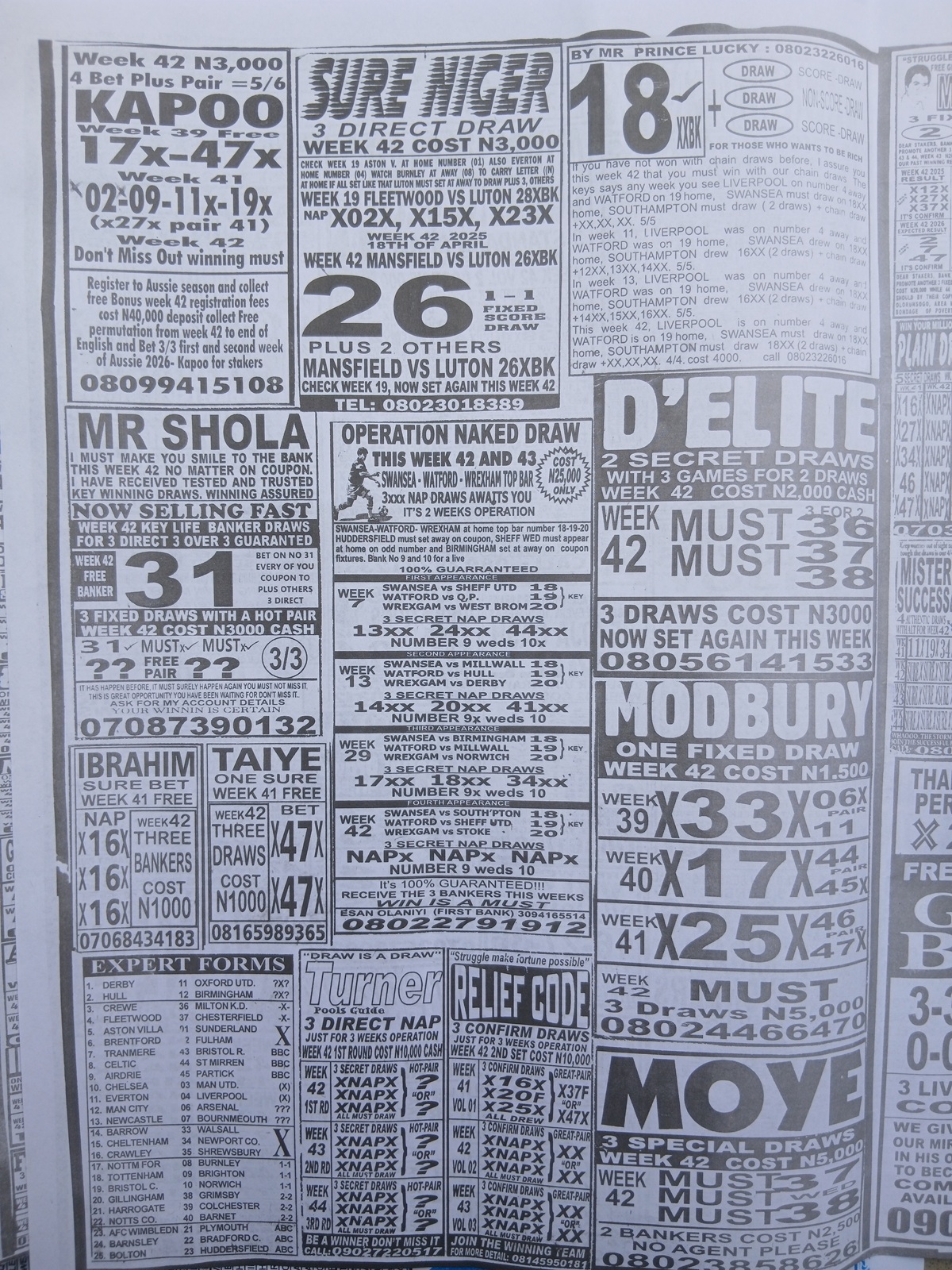 week 42 weekly telegraph 2026 page 8